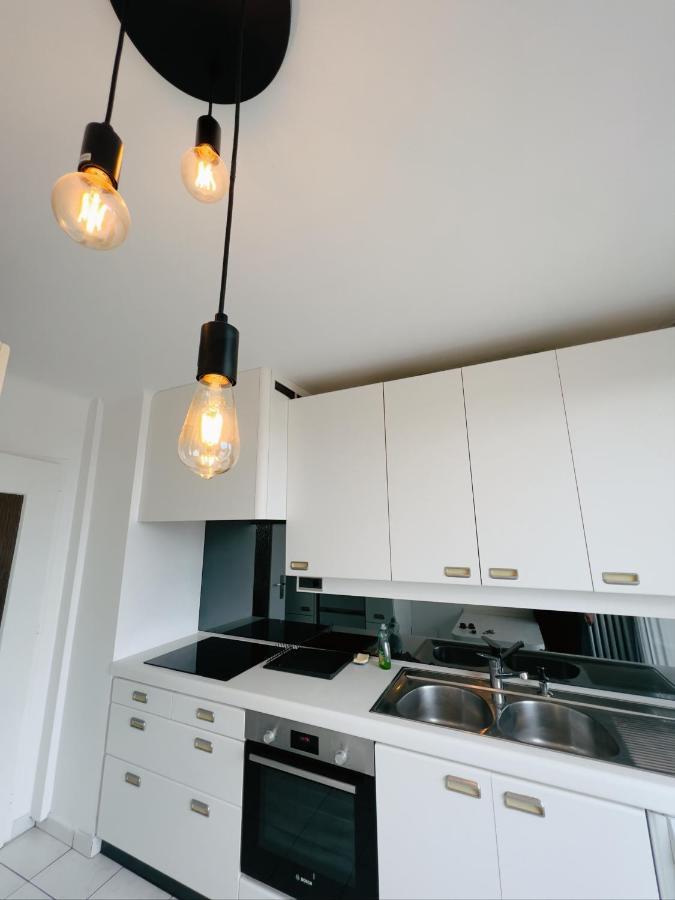 Appartement Spacieux Avec Balcon Saint-Fons Exterior foto
